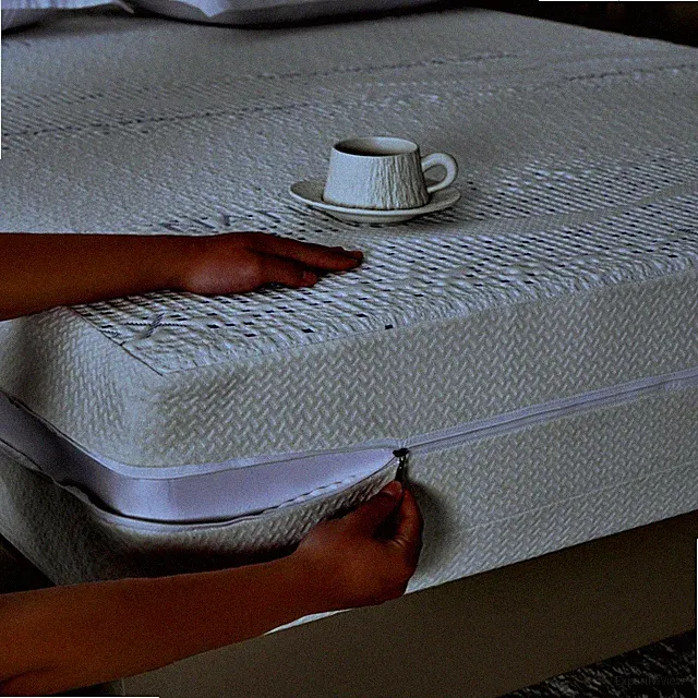 Heavy Duty Waterproof Breathable Mattress Encasement Cover 6Sided Zippered M...