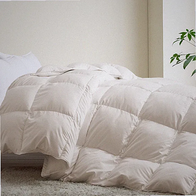 Winter Extra Warm Comforter Cozy Fullfy , White Goose Down Duvet Insert Blanket