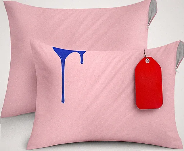 Zippered Pillow Covers Queen, Bed Bug Proof Waterproof, 2 Pack, Pink